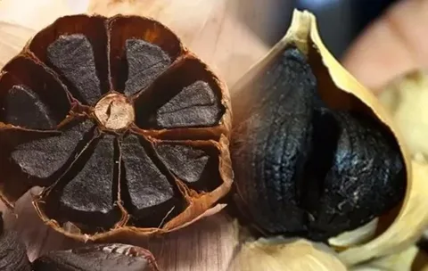 سیر سیاه گانودرما اصل ژاپن با کیفیت منحصر به فرد